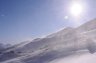 DSC_9568.jpg - 